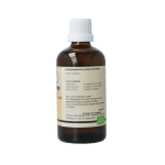 GO Quercus pedunculata - Afbeelding 3