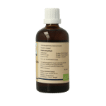 GO Rubus frucicosus bio - Afbeelding 3