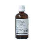 GO Sorbus domestica bio - Afbeelding 2