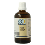GO Ficus carica bio