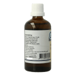 GO Ficus carica bio - Afbeelding 2