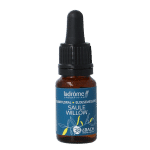 Ladrome Willow bio