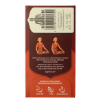 Yogi Tea Ginger bio - Afbeelding 2