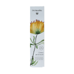 Dr. Hauschka Spring26 handcreme - Afbeelding 3