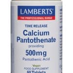 Lamberts Vitamine B5 (calcium pantothenaat) time release
