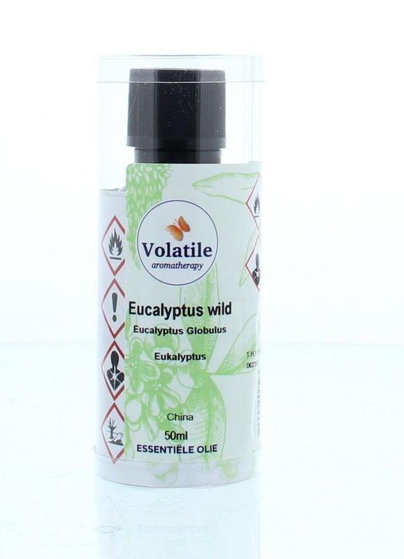 538060.jpg Volatile Eucalyptus wild - Afbeelding 1