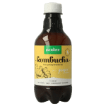 Purasana Kombucha gember vegan bio