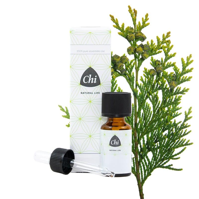 834570.jpg Chi Thuja wild - Afbeelding 1