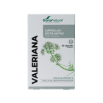 Soria Natural 34- S Valeriana XXI