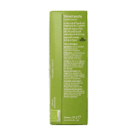 Piramide Groene thee sencha bio - Afbeelding 4