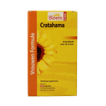 Bloem Cratahama