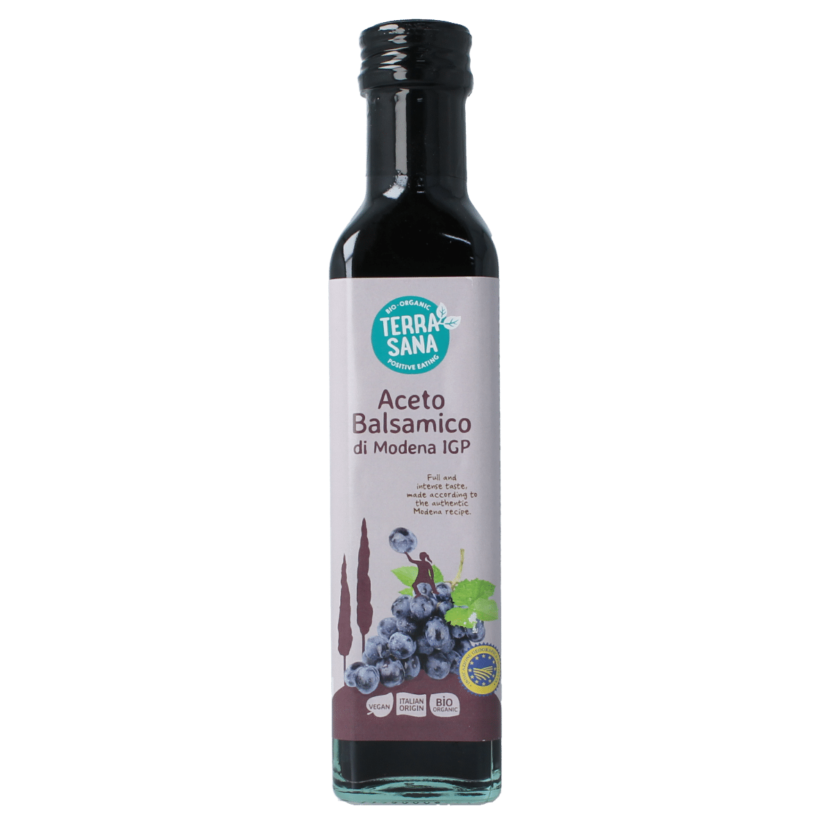 8713576001952_A1N1.png TerraSana Aceto balsamico di modena bio - Afbeelding 1