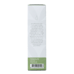 Chi Kamille roomse cultivar - Afbeelding 4