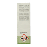 Chi Mandarijn cultivar - Afbeelding 3