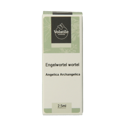 Volatile Engelwortel