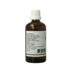 GO Carpinus betulus bio - Afbeelding 3