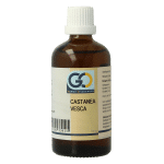GO Castanea vesca bio