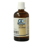 GO Fagus sylvatica bio
