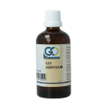GO Ilex aquifolium