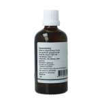 GO Ilex aquifolium - Afbeelding 3