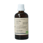 GO Ilex aquifolium - Afbeelding 2