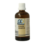 GO Sequoia gigantea bio
