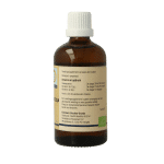 GO Tilia tomentosa bio - Afbeelding 2