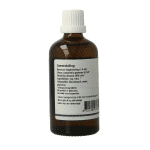 GO Ulmus campestris bio - Afbeelding 3