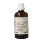 GO Aesculus hippocastanum bio - Afbeelding 2