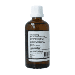 GO Buxus sempervirens bio - Afbeelding 3