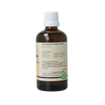 GO Quercus pedunculata - Afbeelding 2