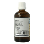 GO Ficus carica bio - Afbeelding 3