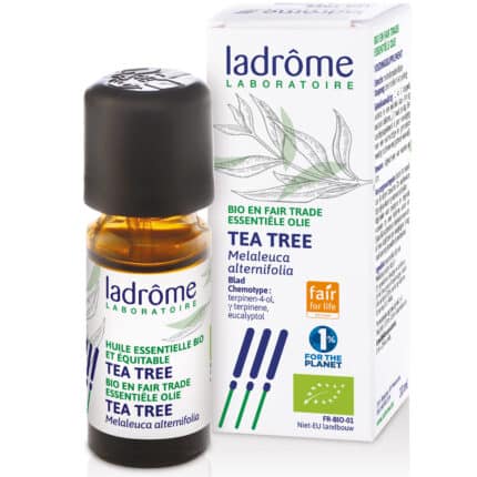 Ladrome Melaleuca alternifolia - tea tree