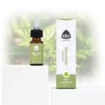 Chi Heilige basilicum bio