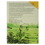 Terschellinger Groene thee cranberry bio - Afbeelding 4