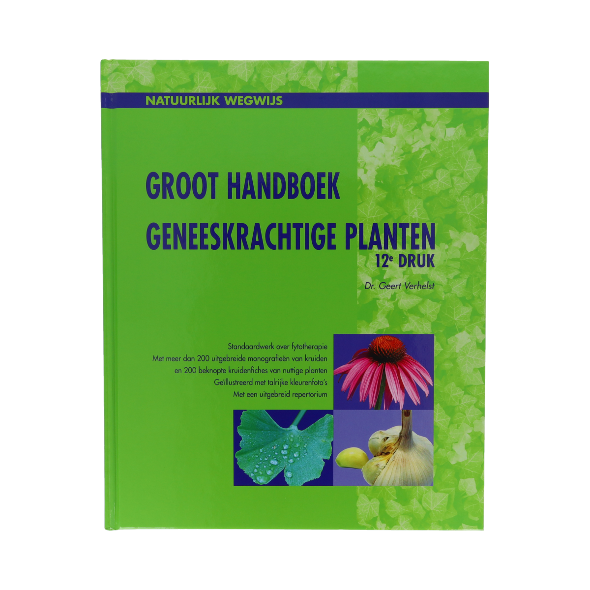 9789082692266_A1N1.png Chi Geneeskrachtig planten handboek - Afbeelding 1